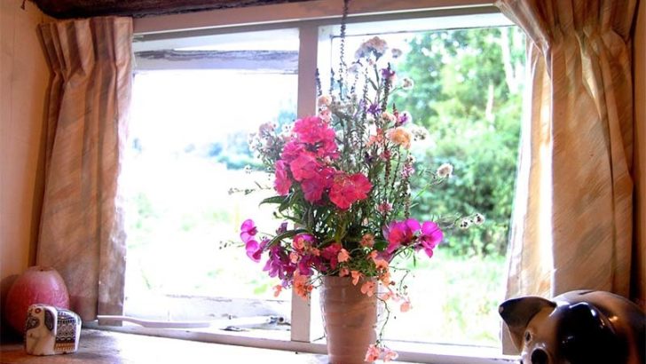 Cómo cuidar correctamente las flores