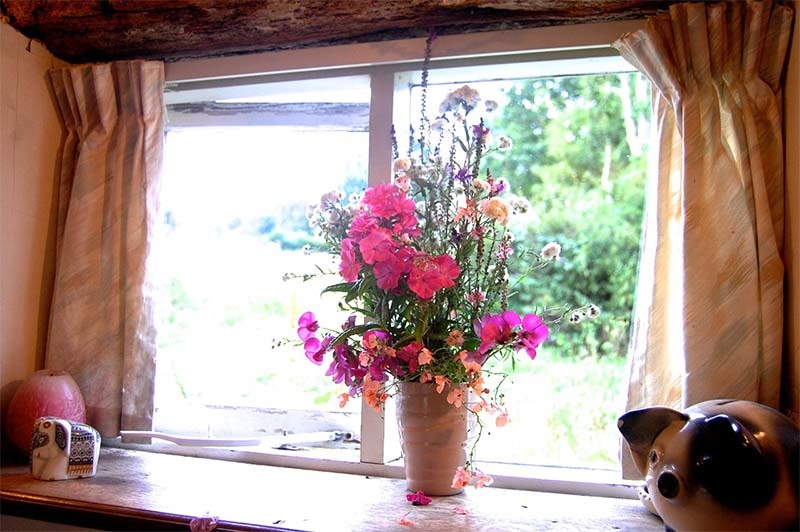 cuidar correctamente las flores
