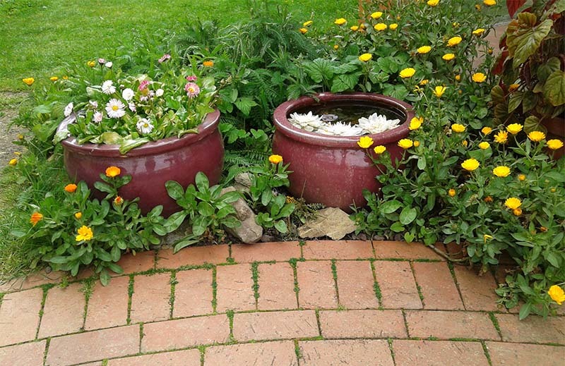 macetas-de-plantas