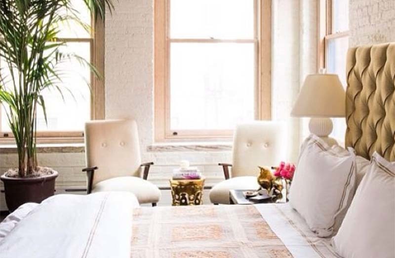 planta-en-la-habitacion