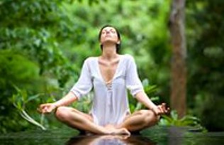 Plantas y salud emocional