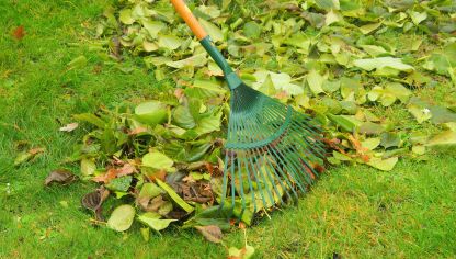 Abril: tareas del jardín