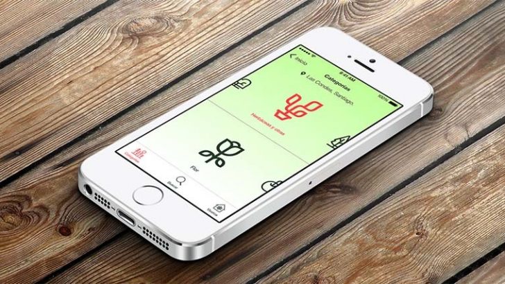 Plantsss, el Shazam de las plantas