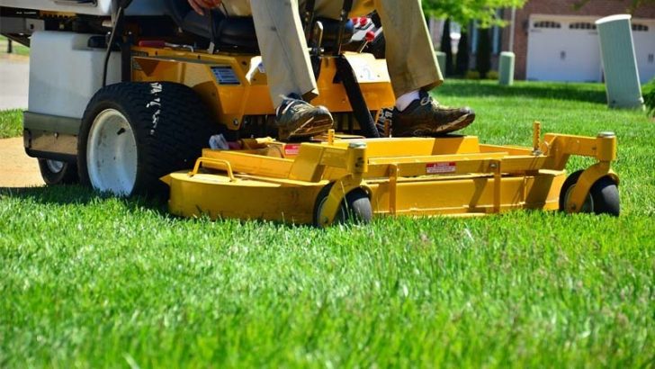 Consejos express para el cuidado de tu jardín