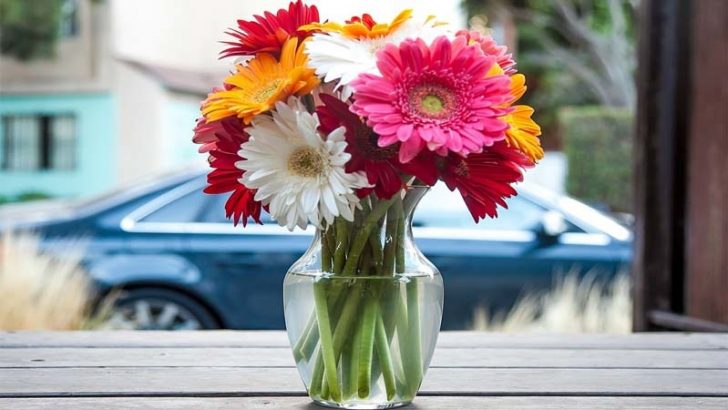 Consigue un mejor aspecto para tus flores