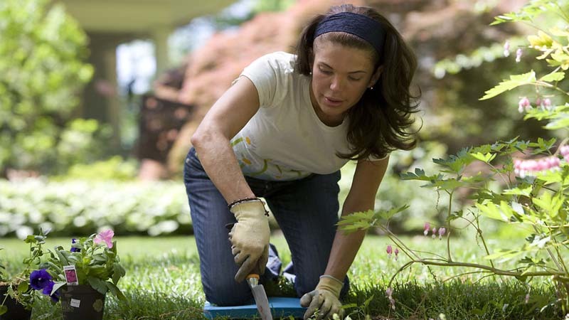 persona-cuidando-el-jardin