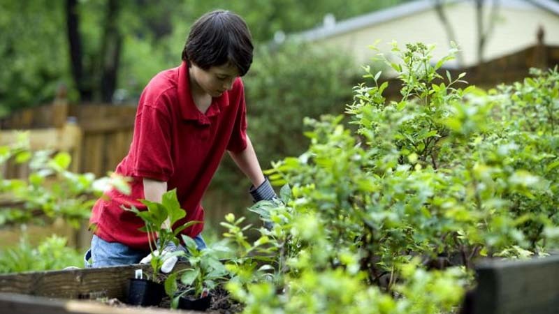 quitando-malas-hierbas-del-jardin