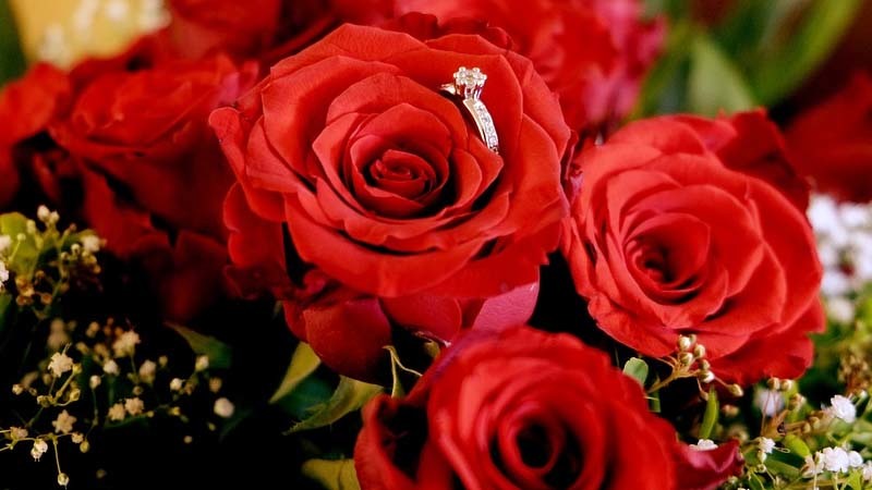 rosas-para-el-dia-de-la-madre