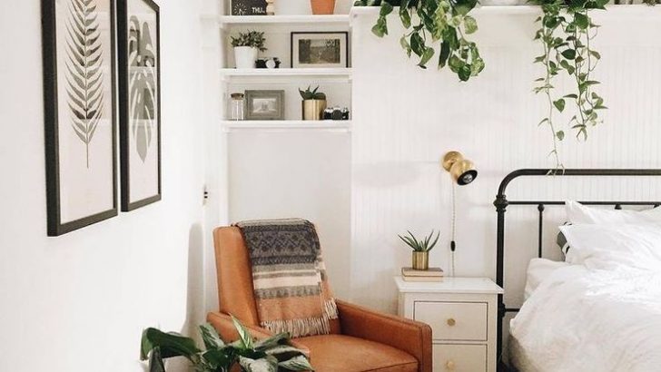 Dormir con plantas es malo, ¿mito o realidad?