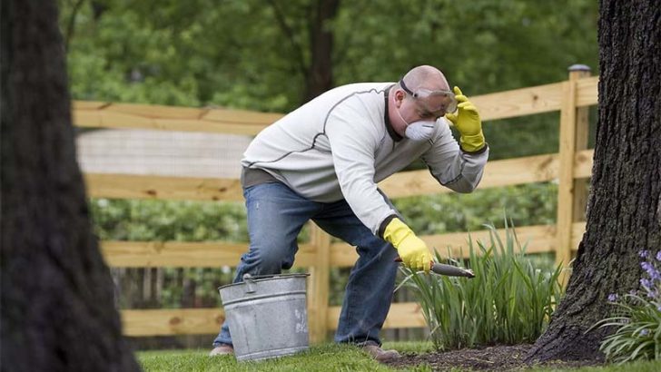 3 consejos para el cuidado de las plantas