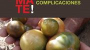 Toma tomate; el huerto bio sin complicaciones
