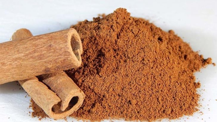 Usos de la canela en jardinería