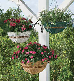 Cestas para plantas de interior
