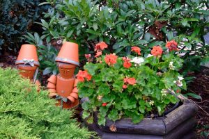 Proteger las plantas del calor