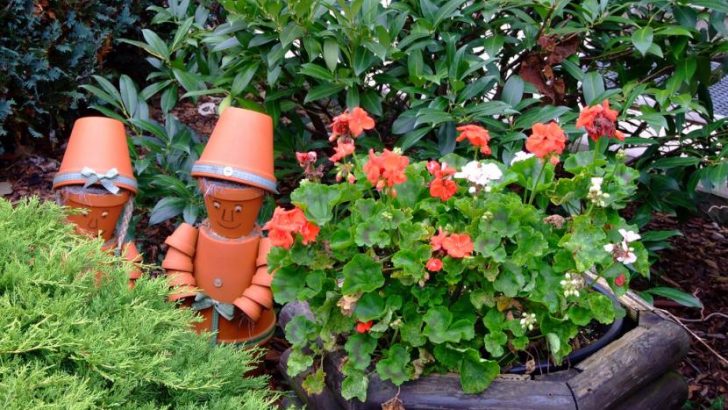 Proteger las plantas del calor asfixiante. Patios y terrazas.