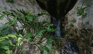 Jardín Exótico de Eze 