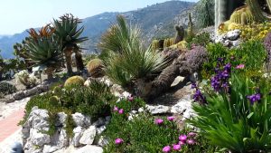 Jardín Exótico de Eze 