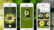 ¿Cómo identificar plantas con una App?