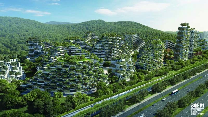 ciudad vegetal