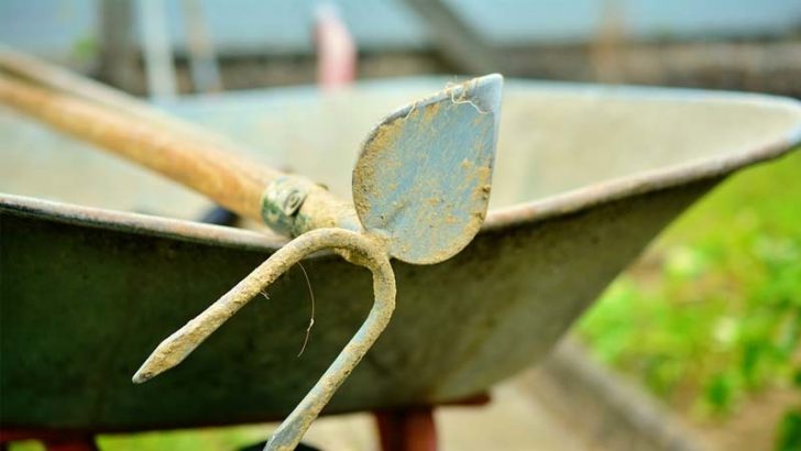 Por qué enterrar aspirinas en el jardín