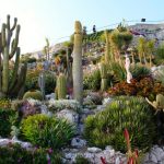 Jardín Exótico de Eze