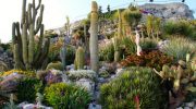El Jardín Exótico de Eze