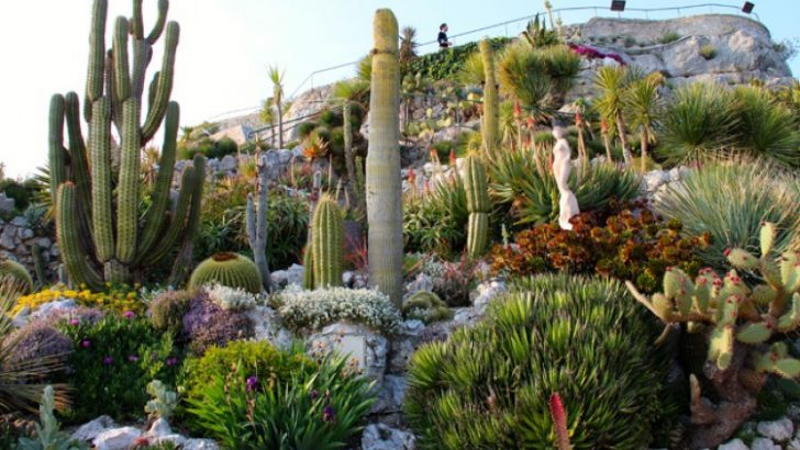 El Jardín Exótico de Eze