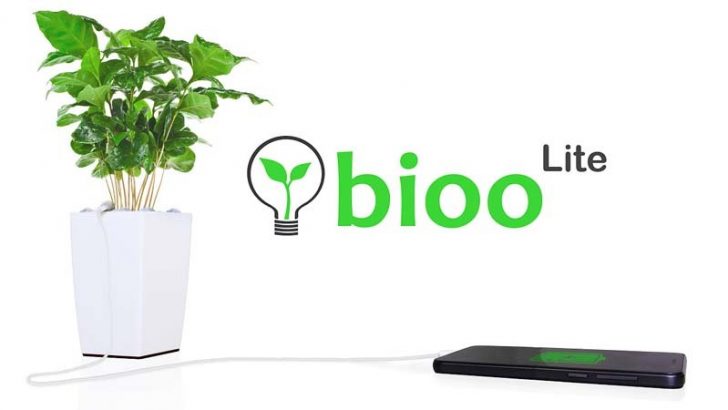 Plantas que dan cobertura Wi-Fi