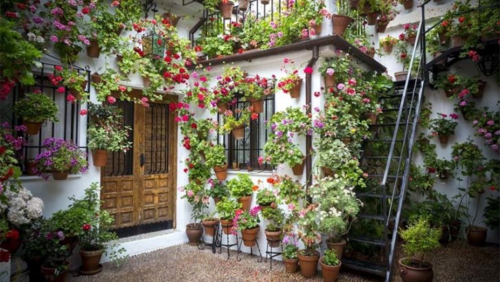 Trucos para mantener sanas a las plantas