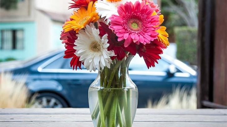 Decora tu hogar con flores
