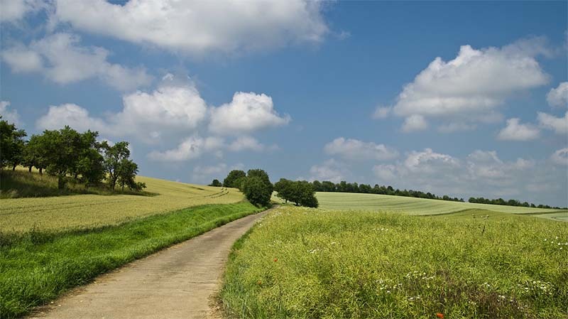 naturaleza