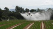 Glifosato: veneno permitido hasta 2022