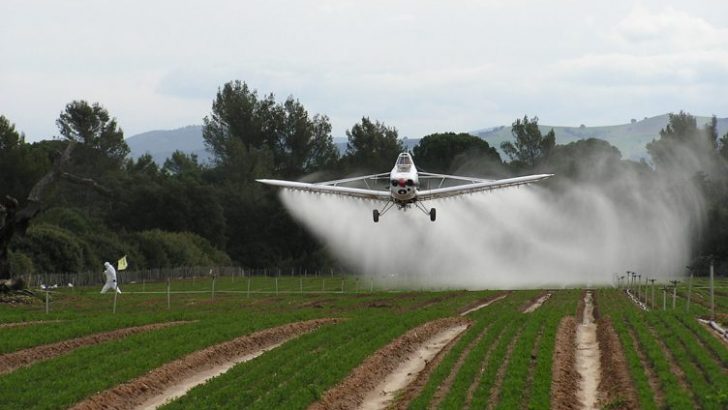 Glifosato: veneno permitido hasta 2022