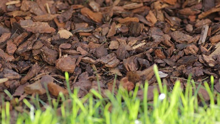 Qué es el mulching