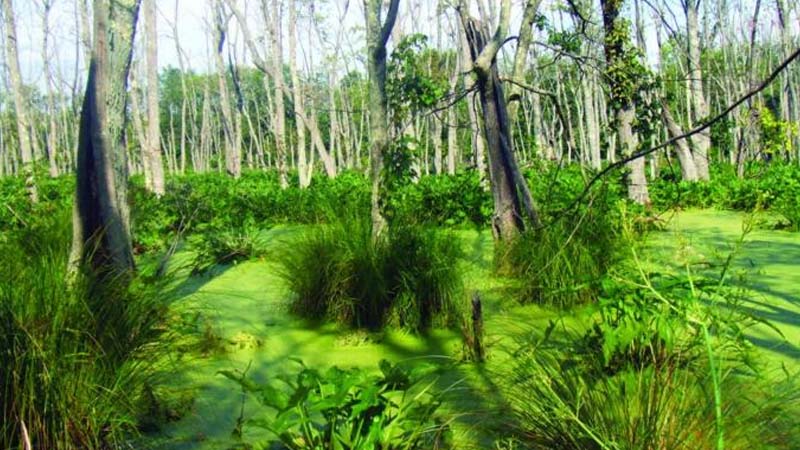 naturaleza
