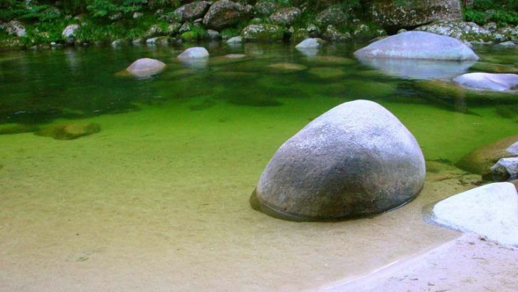 ¿Qué es un jardín zen?