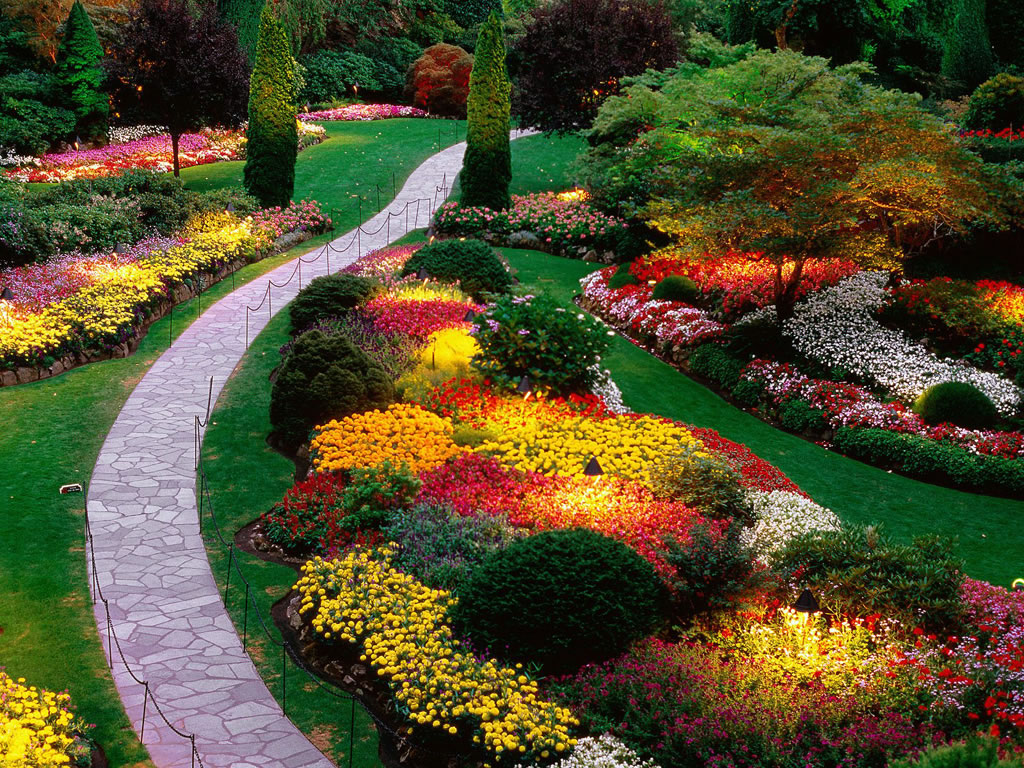 El jardín y sus cuidados durante el verano
