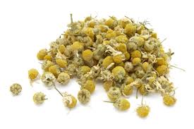 La Chamomile o Manzanilla