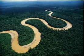 Plantas Medicinales de la Amazonía – Reconocimiento en USA