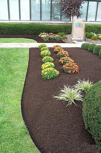 Mulching o acolchado