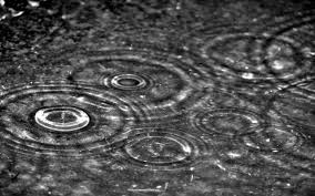 Agua de lluvia para tus plantas