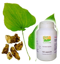Wild Yam