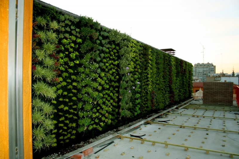 Jardín vertical