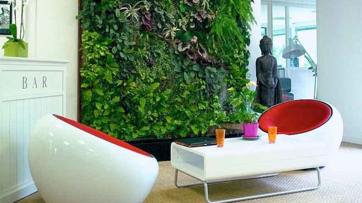Decorar con plantas, cómo hacerlo