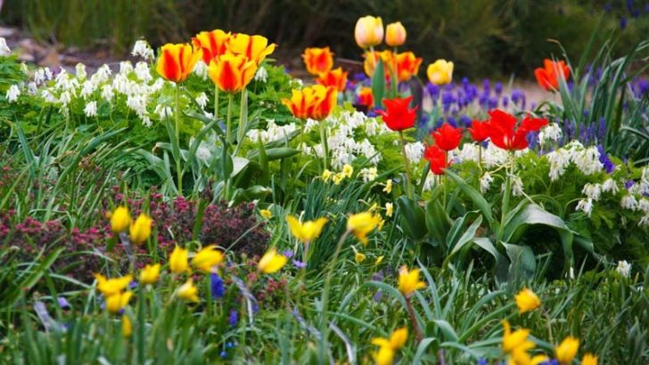 Tres factores para tener un buen jardín