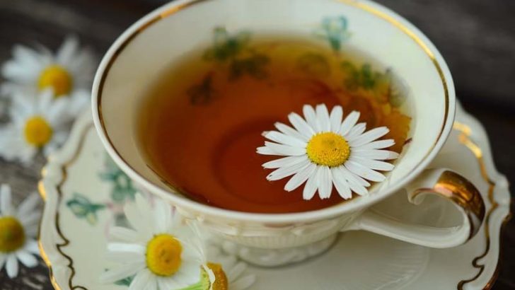 Plantas contra la gripe del invierno