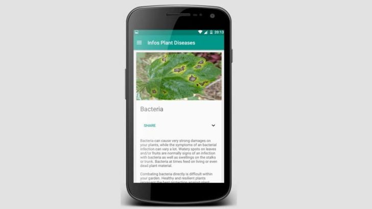 Plantix, el mejor aliado contra las plagas