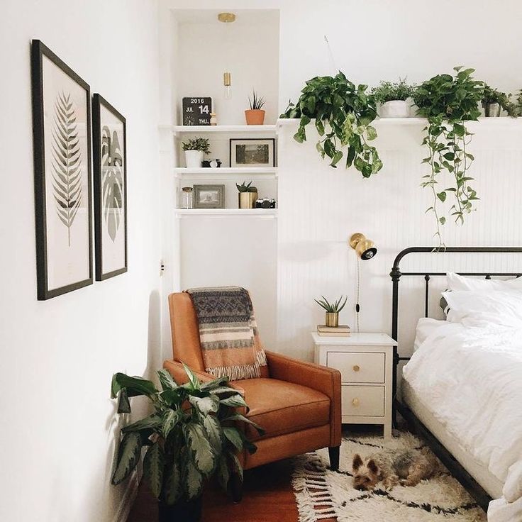 Dormir con plantas