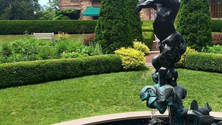 Consigue el mejor césped para tu jardín