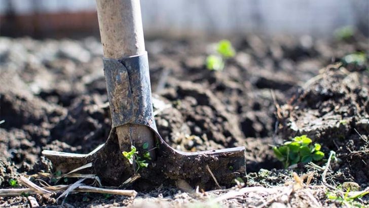 Cómo ser jardinero